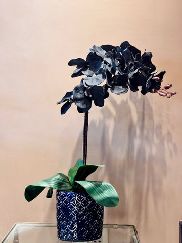 Midnight Silk Faux Orchid Arrangment