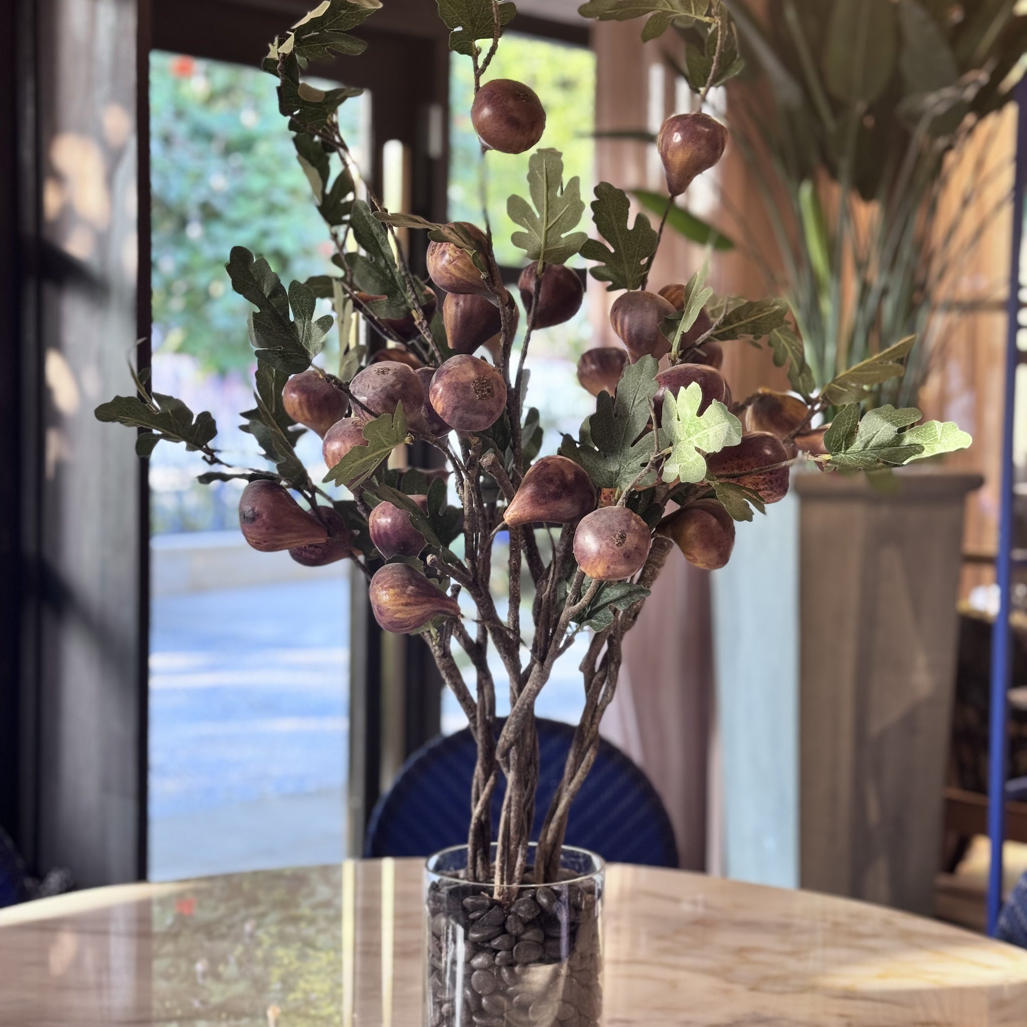 Fig Tree in Glass Base