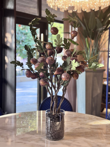 Fig Tree in Glass Base