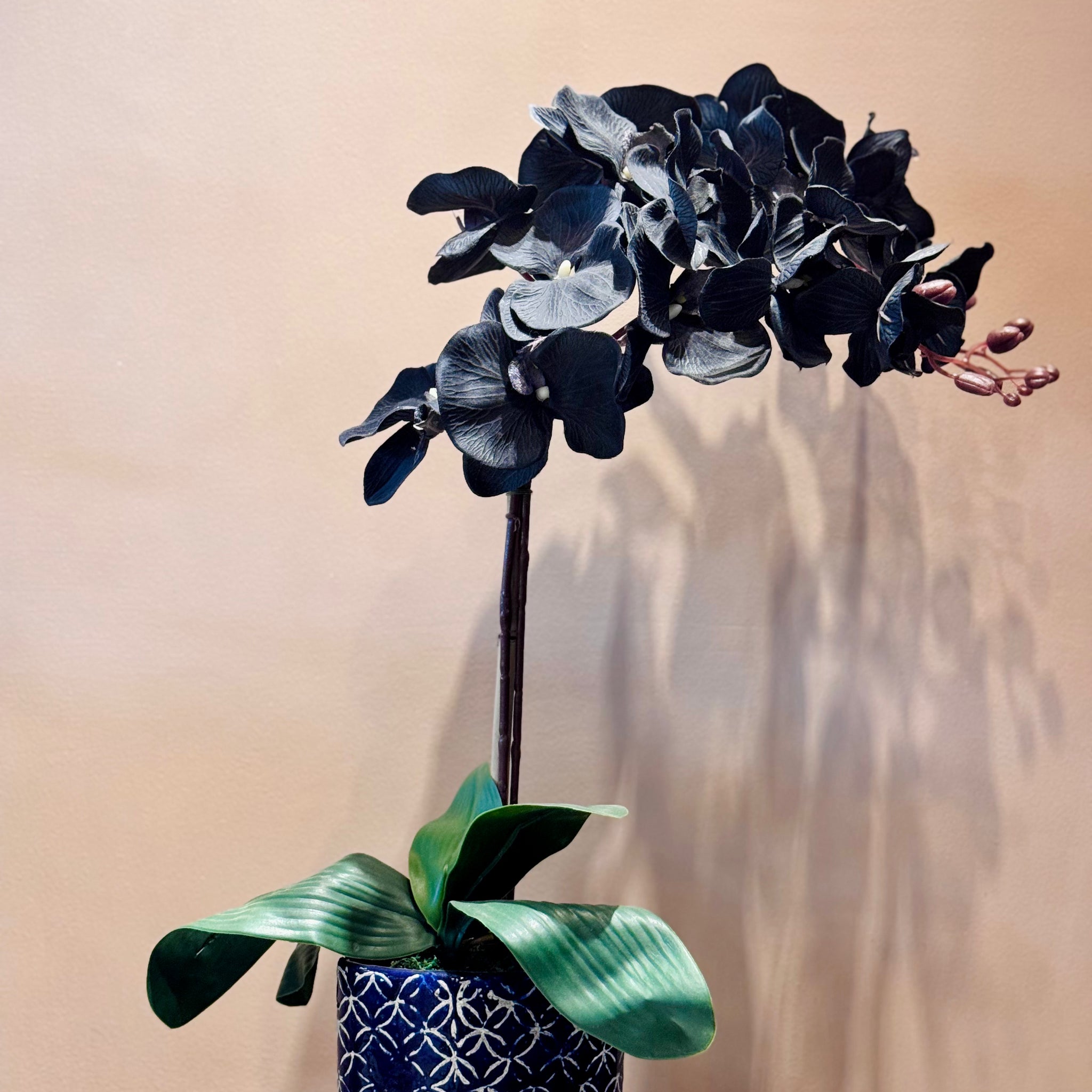 Midnight Silk Faux Orchid Arrangment