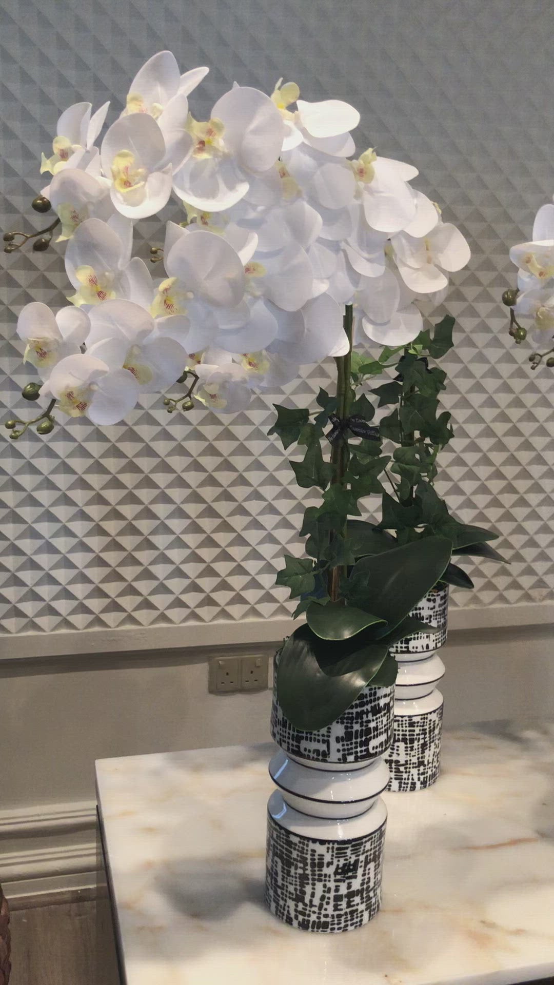 White Orchids Arrangement