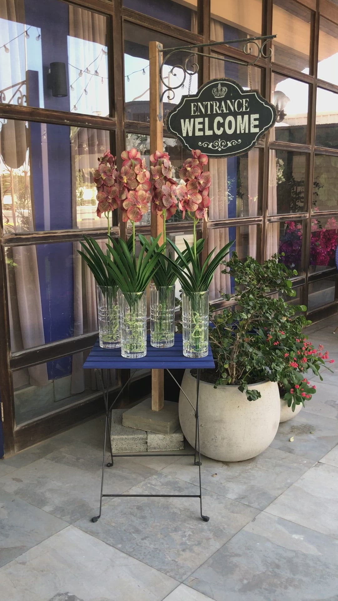 Salmon Vanda Orchid Arrangement in Gel