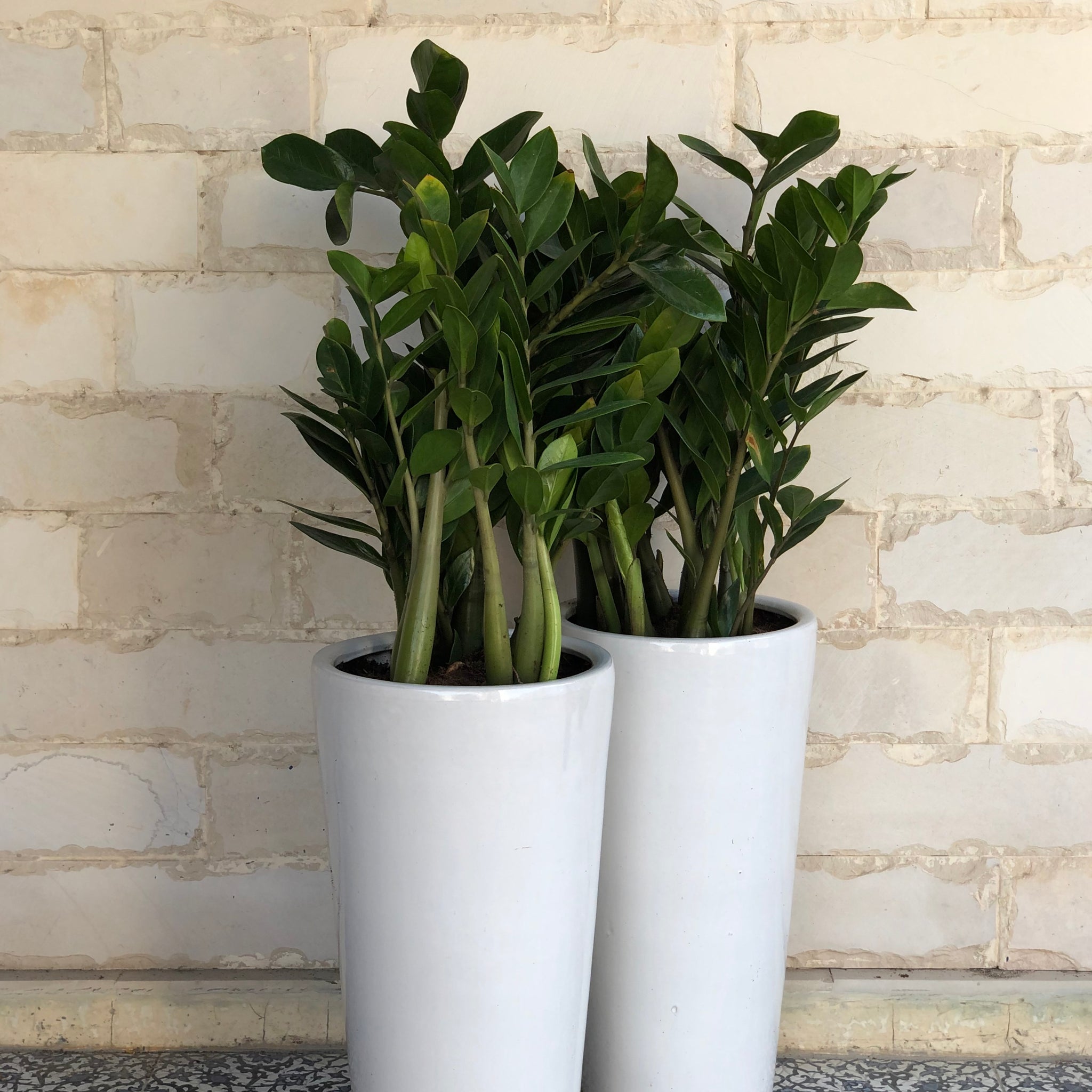 White Medium Ceramic Glazed Pots Set