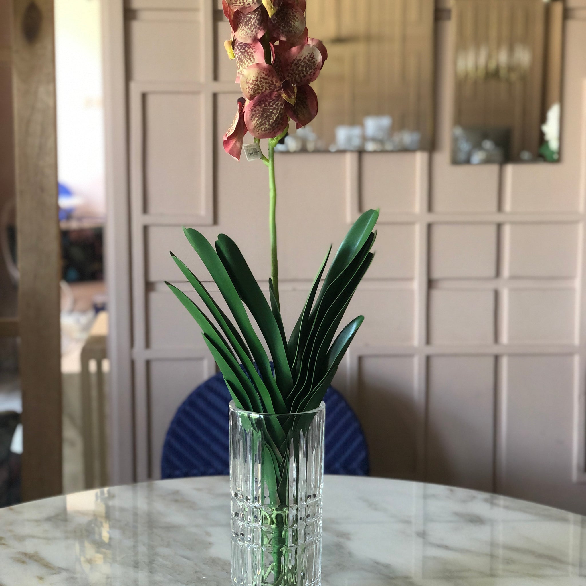Salmon Vanda Orchid Arrangement in Gel