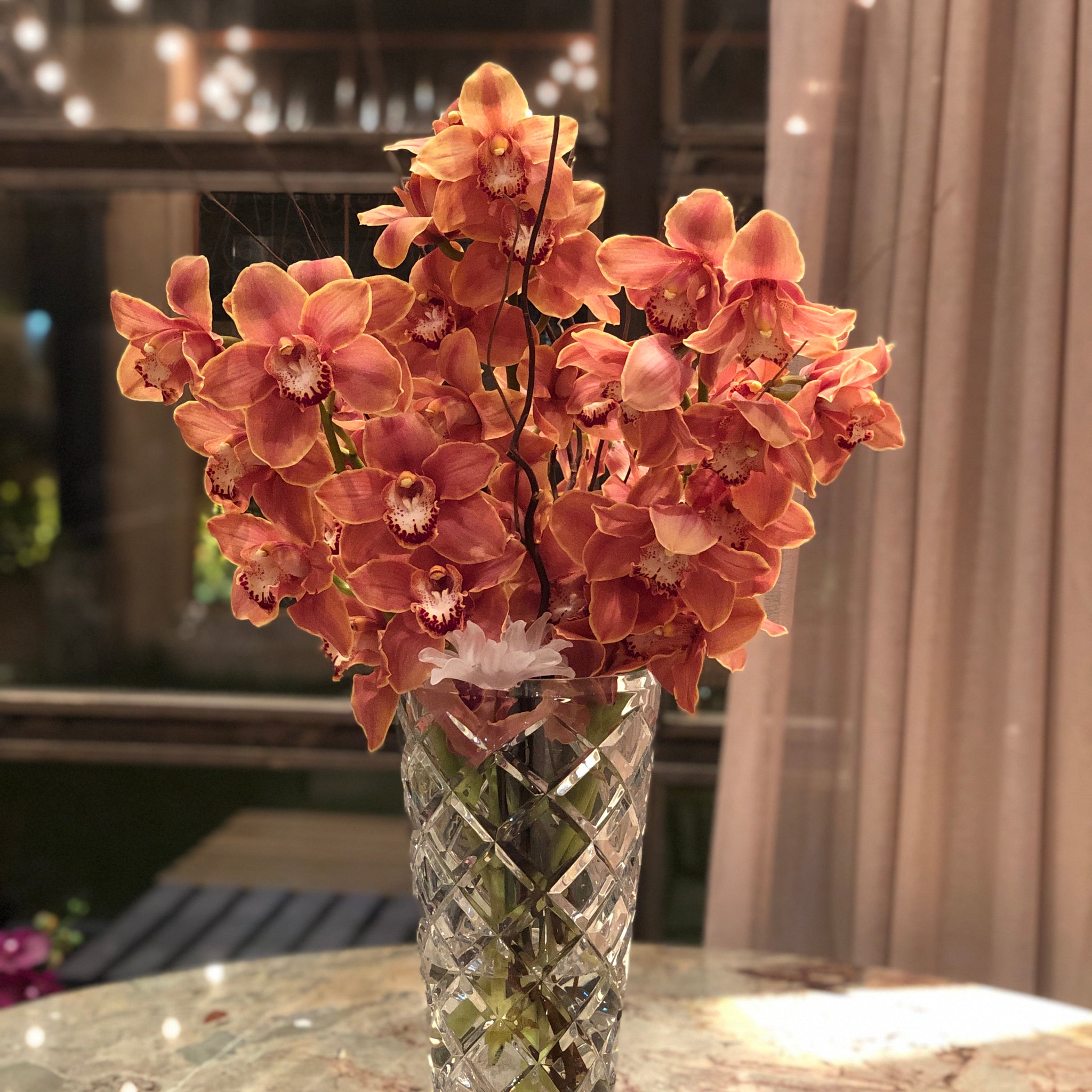 Cymbidium Blooms Orchids Arrangement
