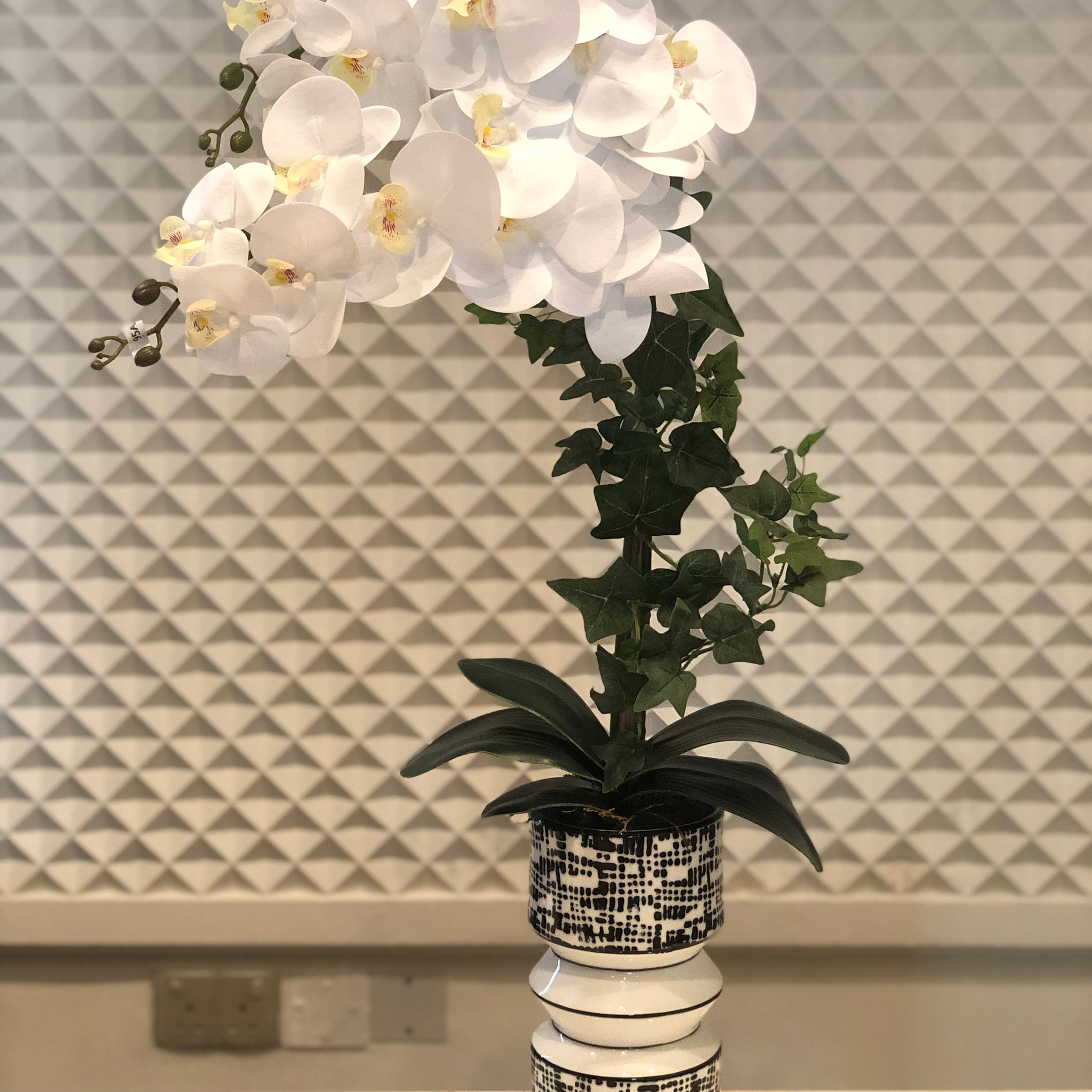 White Orchids Arrangement